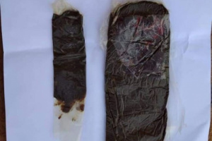 حضرموت .. نقاط رأس حويرة وبلفقية تضبط كميات من الحشيش 