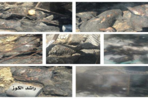 مجهولون يضرمون النار في حظيرة اغنام بحضرموت