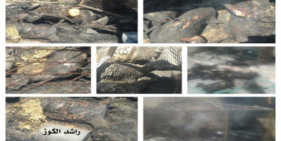 مجهولون يضرمون النار في حظيرة اغنام بحضرموت