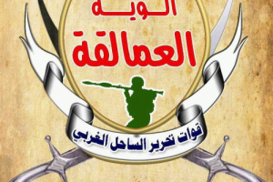القوات المشتركة في الساحل الغربي: نيران حمراء في خاصرة الحوثي 