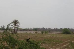 جرائم وانتهاكات الحوثي مليشيات الحوثي تُطلِق نيران أسلحتها عشوائيًّا على قُرى الجبلية