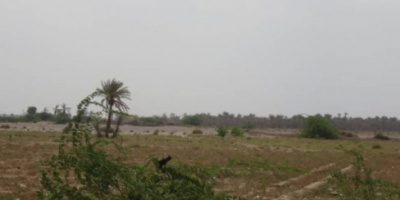 جرائم وانتهاكات الحوثي مليشيات الحوثي تُطلِق نيران أسلحتها عشوائيًّا على قُرى الجبلية