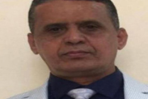 خبير عسكري : الوحدة استفاد منها مجموعة لصوص واستمرارها ظلم