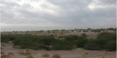 تصاعد وتيرة الخروقات والانتهاكات الحوثية في الجبلية جنوب محافظة الحديدة
