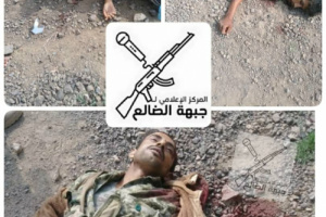 الجبهة الحديدية .. هكذا تساقطت جثث المليشيات بجبهة العود بالضالع (صور)