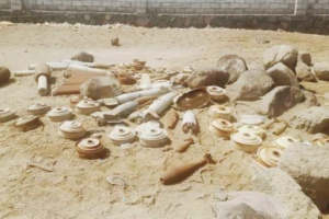  احباط مخطط ارهابي حوثي بالساحل الغربي 