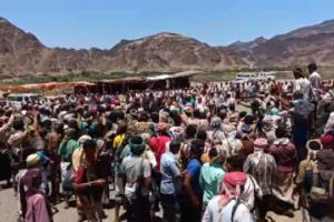 بحضور المرجعية الجنوبية .. تحكيم قبلي ينهي قضية قتل بالخطأ في باتيس أبين