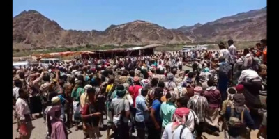 بحضور المرجعية الجنوبية .. تحكيم قبلي ينهي قضية قتل بالخطأ في باتيس أبين
