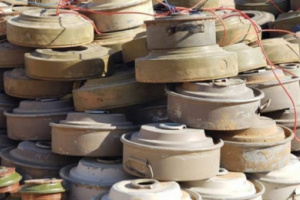 مسام ينتزع 1500 لغم حوثي في أسبوع