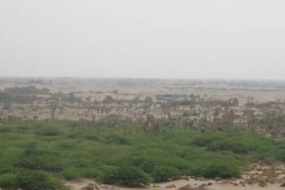 ضمن خروقاتها للهدنة.. مليشيا الحوثي تقصف القرى السكنية في منطقة الجبلية بالتحيتا