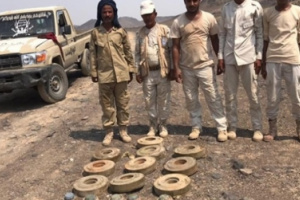 هندسة القوات المشتركة تقوم بنزع 10 ألغام حوثية، بخط مشروع مياه باب المندب 