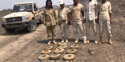 هندسة القوات المشتركة تقوم بنزع 10 ألغام حوثية، بخط مشروع مياه باب المندب 