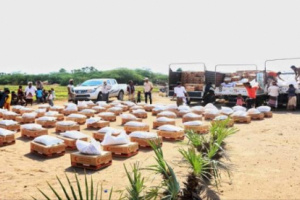 الهلال الأحمر الإماراتي يوزع 16 طنا من المساعدات الإغاثية لنازحي الحديدة