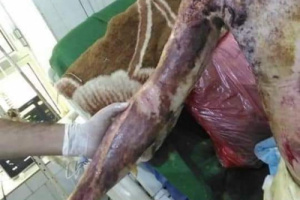 حادثة بشعة في إب..مجهولون يقومون بإحراق مواطن أمام الملأ