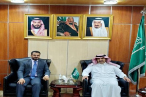 السفير السعودي يتحدث عن حلول قادمة لمشكلة الكهرباء في عدن