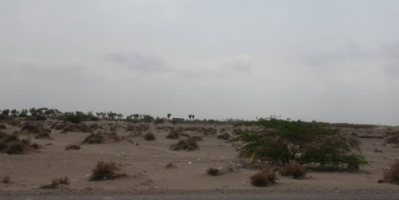 الحديدة: القوات المشتركة ترصد تحرك مسلح للحوثيين في خط زبيد وتكبدهم خسائر بشرية