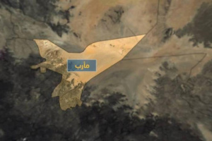 محلل سعودي : مليشيات الإخوان سحبت عناصرها من مأرب إلى أبين 