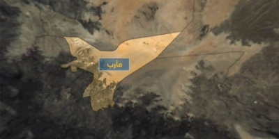 محلل سعودي : مليشيات الإخوان سحبت عناصرها من مأرب إلى أبين 