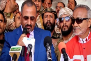 الوكيل "محمد سعيد سالم" : المجلس الإنتقالي الجنوبي و الزبيدي باتا يحظيان بوزن "الدولة والرئيس"