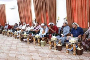 أعيان ومقادمة مديريات حضرموت يؤكدون مساندتهم لقرارات المحافظ البحسني