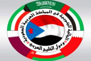 نشطاء جنوبيون يطلقون هاشتاج يشيد بدور المغتربين