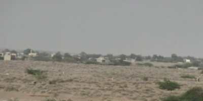  القوات المشتركة تحبط محاولة تسلل لمليشيات الحوثي في الجاح