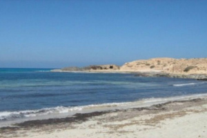 رسو سفينة مجهولة في شواطئ أحور