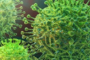 لجنة كورونا : لا إصابات جديدة في ساحل حضرموت