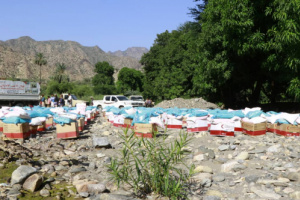 بدعم إماراتي: وصول 25 طنا من المساعدات الغذائية إلى سكان القری الناٸية غربي تعز