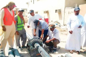 ابناء سقطرى يشيدون بالدعم الاماراتي لمحافظتهم