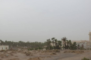 بمختلف أنواع الأسلحة.. مليشيات الحوثي تستهدف منطقة الجبلية