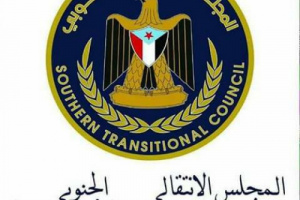 نزار هيثم : جهود كبيرة تقوم بها قيادة المجلس الانتقالي للوصول إلى خارطة سلام واضحة