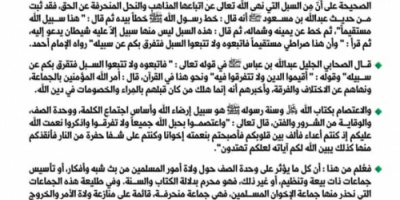 هيئة كبار العلماء في السعودية " جماعة الإخوان جماعة إرهابية لا تمثل الاسلام