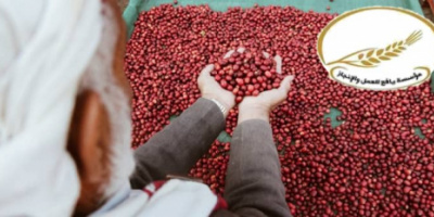 بعد "ثورة الطرقات".. مؤسسة يافع للعمل والإنجاز تقود ثورة جديدة للنهوض بزراعة البُن