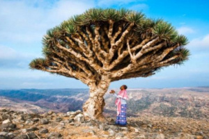  بغياب الاخوان..سقطرى تعيش استقرار امني ونهضة تنموية بيد ابنائها