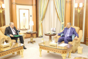 الزبيدي يشدد على وحدة المصير المشترك مع جمهورية مصر