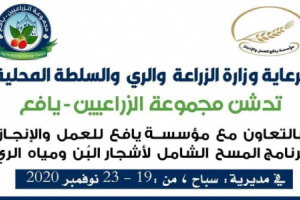 لجان المسح الشامل لأشجار البن والمياه تدشن اعمالها في  مديرية سباح ب يافع 