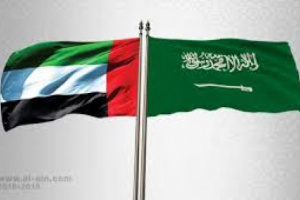 مجلس الإمارات يعلن تأييده لبيان علماء السعودية في تصنيف جماعة الإخوان منظمة إرهابية 
