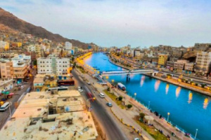 ضوابط صارمة لدخول شركات شراء الأسماك إلى حراج المكلا