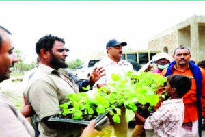 «خليفة الإنسانية» تدعم مزارعي سقطرى لتلبية احتياجات السوق المحلية