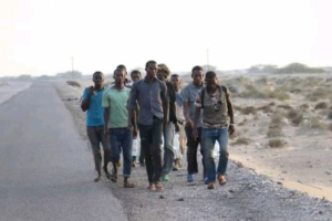 الهجرة الدولية: تراجع اعداد المهاجرين الى اليمن 