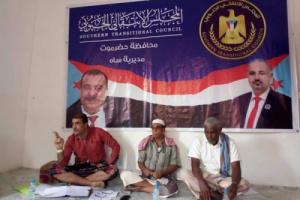تنفيذية إنتقالي ساه تطالب بتحسين الأداء التنظيمي لمراكزه
