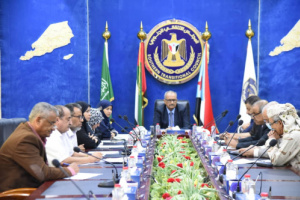 المجلس الانتقالي يعبّر عن ارتياحه لتشكيل حكومة المناصفة ويؤكد حرصه على إنجاح مهامها
