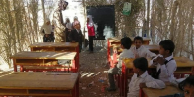بن عديو يؤسس إمبراطورية إخوانية ويترك لتلاميذها سعف النخيل