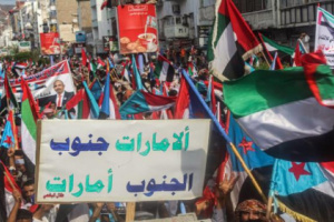 مسؤول حكومي يكشف سبب الحقد الإخواني تجاه الإمارات