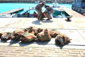 السعودية تحبط تهريب طن حشيش و3 أطنان قات