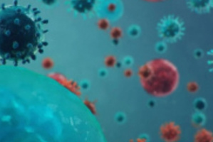لجنة كورونا : تسجيل إصابة جديدة بالفيروس في المكلا 