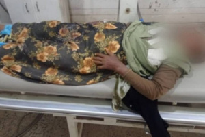 مليشيا تصعد جرائمها ضد المدنيين  بالحديدة 
