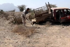 نزع ألغام جديدة من بقايا مازرعتة مليشيا الحوثي شمال الضالع 