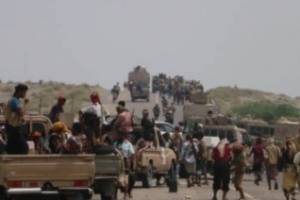 صفعة جديدة لتعزيزات المليشيات الإرهابية الحوثية جنوب الحديدة